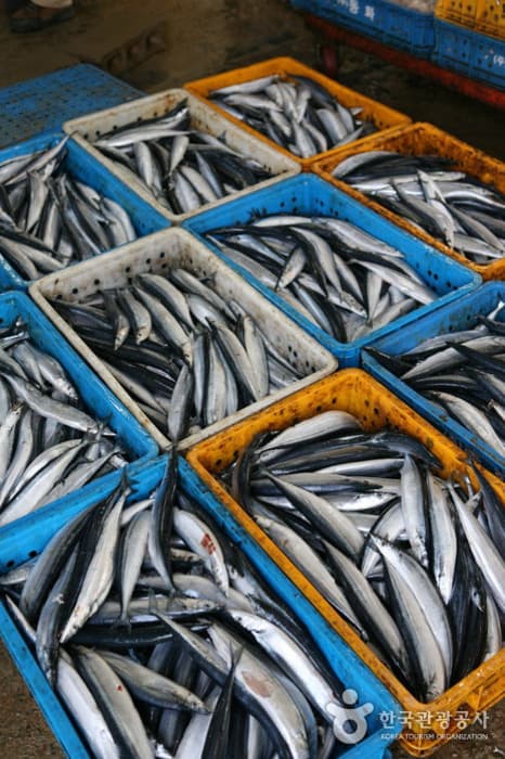 Guryongpo Fifth-Day Market (구룡포장 (3, 8일))