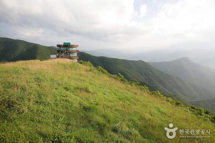 Mungyeong Flying Land (문경활공랜드)
