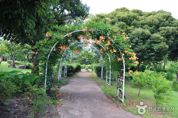 Yeomiji Botanic Garden (여미지식물원)