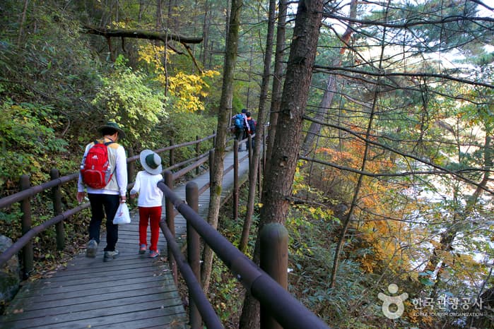 Gayasan Sori-gil (가야산 소리길)