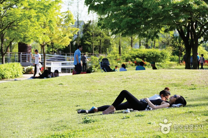 Seonyudo Park (선유도공원)