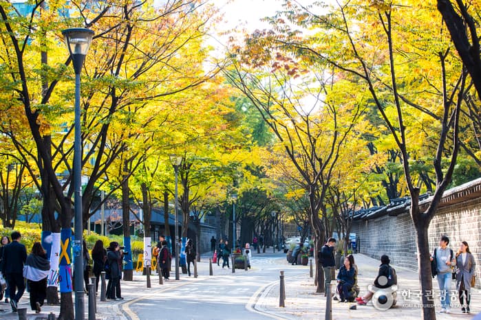 Deoksugung Stone Wall Path (덕수궁 돌담길)