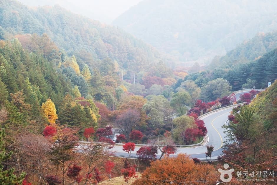 Road to Jirisan (지리산 가는길)