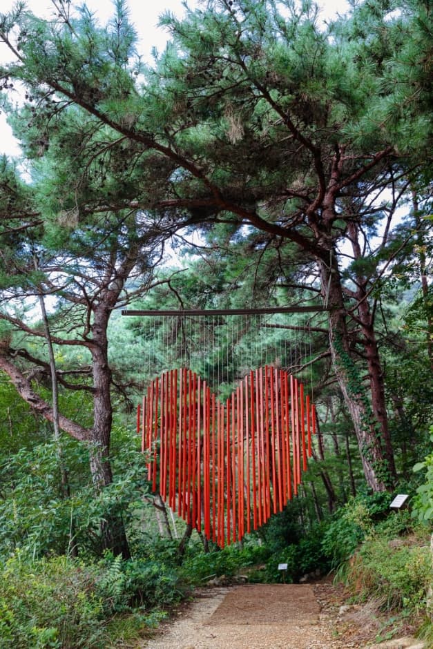 Haenam Forest Arboretum (4est 수목원)