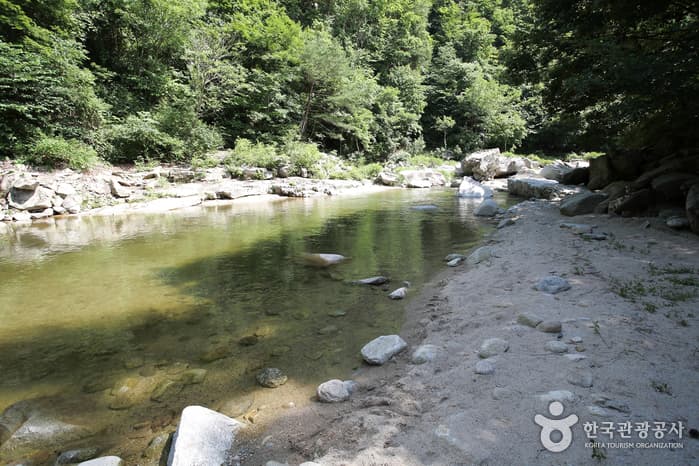 Wolseonggyegok Valley (월성계곡)