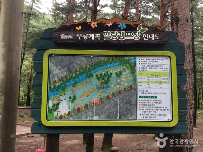 Mureunggyegok Valley Healing Campground (무릉계곡 힐링캠핑장)