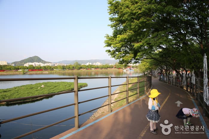 Gongjicheon Stream (Gold Scales Theme Street) (공지천(황금비늘테마거리))