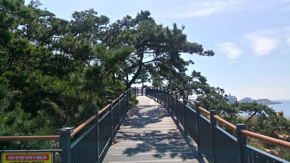 Bieung Mapaji Trail (비응 마파지길)