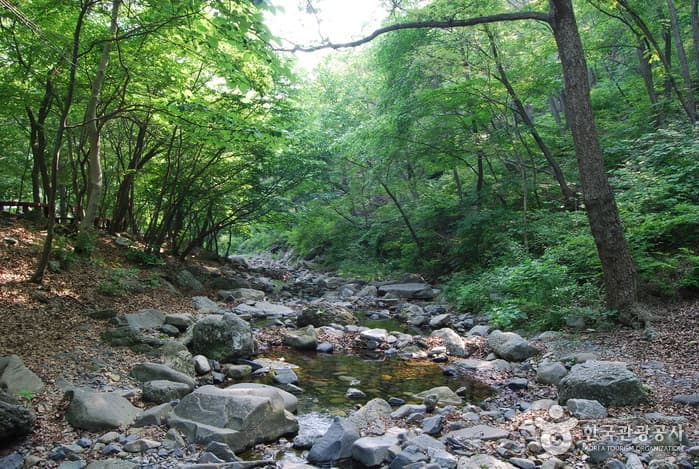 Simyeondonggyegok Valley (Seongjugyegok Valley) (심연동계곡(성주계곡))