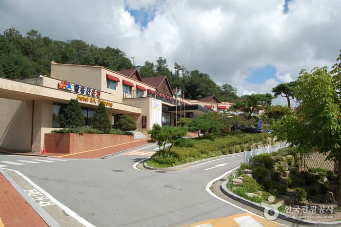 Mt. Palgong Hot Spring Tourist Hotel (팔공산온천관광호텔(온천))