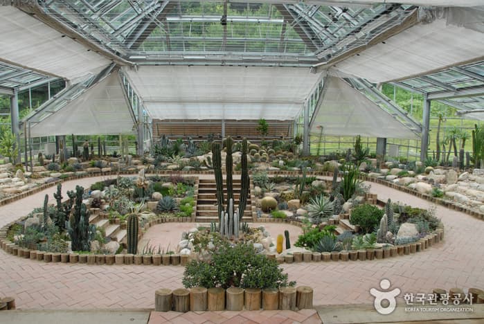 Yanggu Eco-Botanical Garden (양구생태식물원)