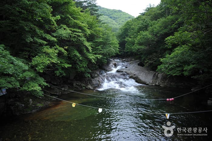 Muju Gucheong-dong Special Tourist Zone (무주구천동관광특구)