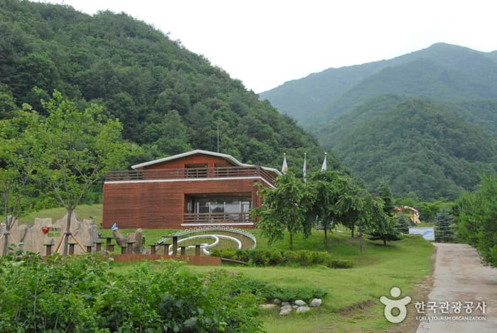 Yanggu Eco-Botanical Garden (양구생태식물원)