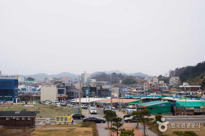 Daepohang Port (대포항)