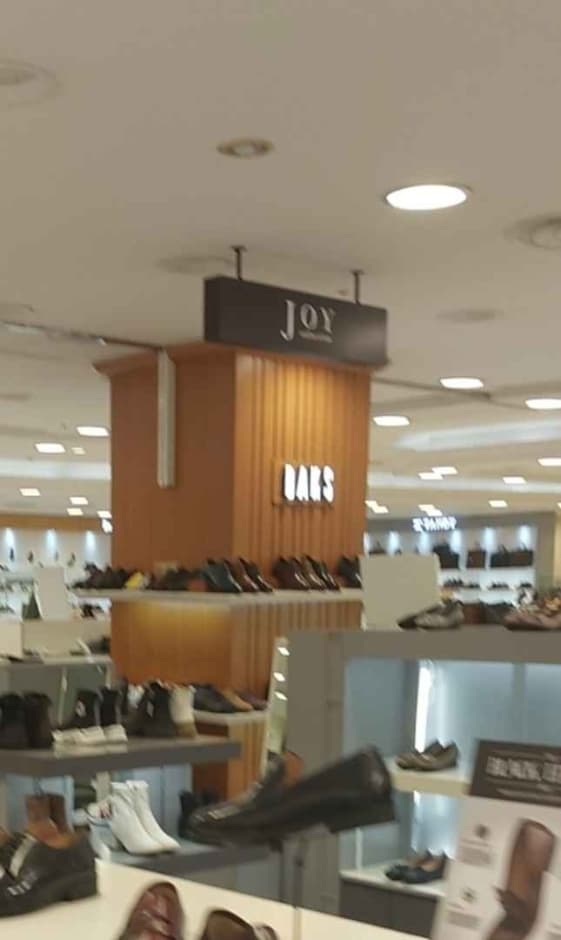 Joy [Tax Refund Shop] (조이)