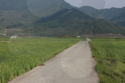 [Hadong Pak Kyongni Toji-gil Trail 1] Seomjingang Pyeongsa-ri Park to Hwagae Market ([하동 박경리 토지길 1코스] 섬진강 평사리공원~화개장터)