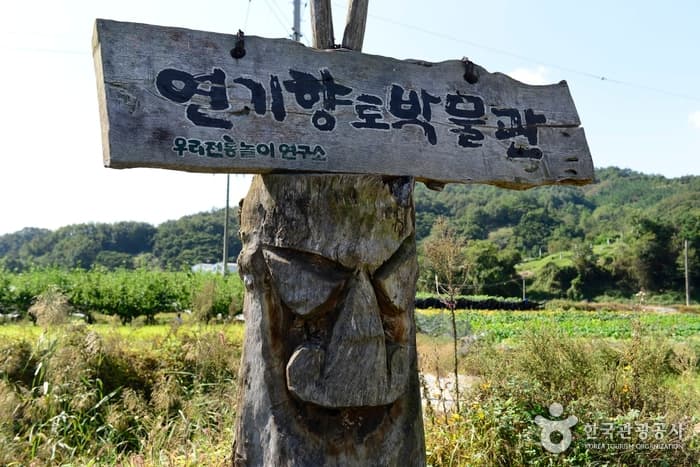 Yeongi Folk Museum (연기향토박물관)