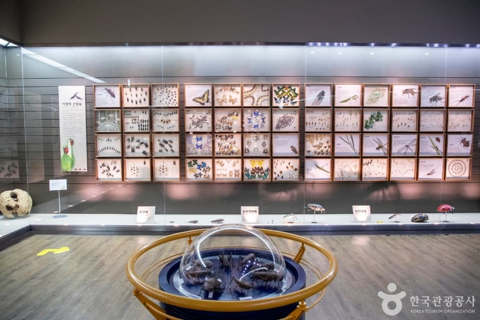Mokpo Natural History Museum (목포자연사박물관)