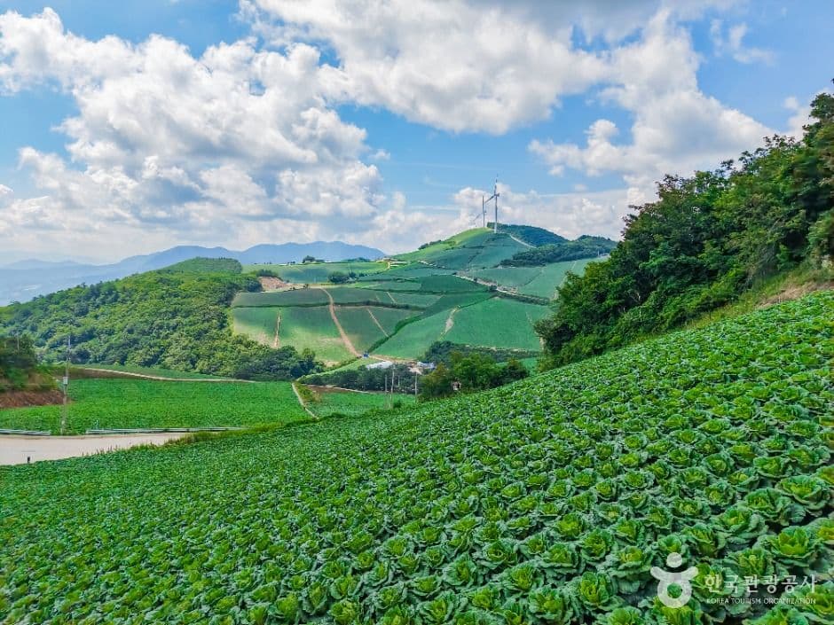 Anbandegi Village (안반데기 마을)