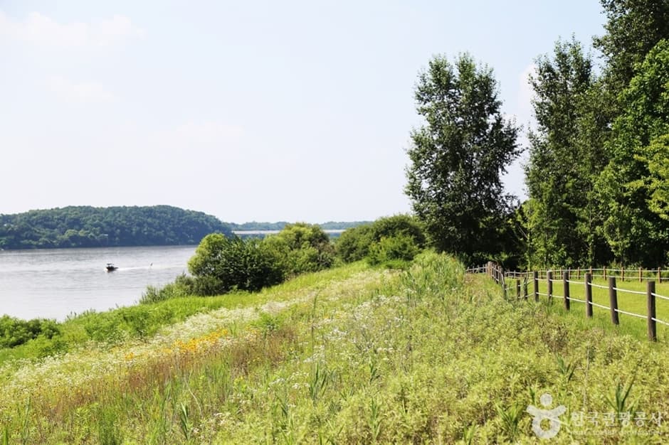 Gangcheonseom Island (강천섬)