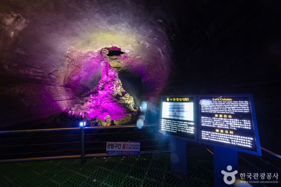 Manjanggul Lava Tube [National Geopark] (만장굴 (제주도 국가지질공원))