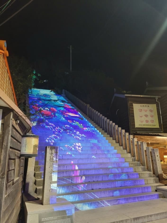 Guryongpo Pieora Stairway Media Art (구룡포 피어라계단 미디어아트)
