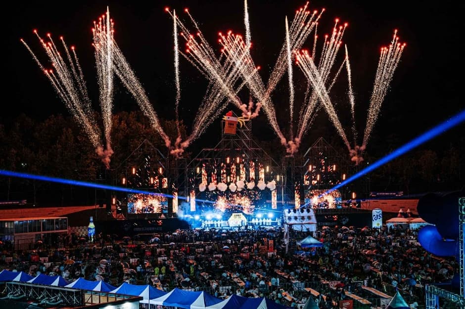 Daegu Chimac Festival (대구치맥페스티벌)