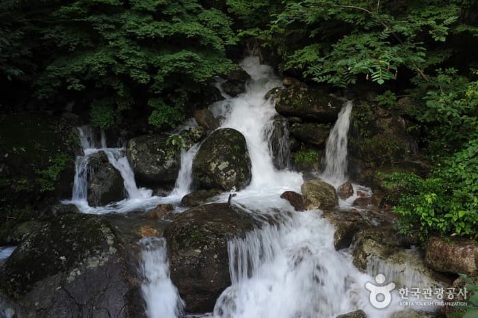 Baegunsan Mountain Donggokgyegok Valley (백운산 동곡계곡)
