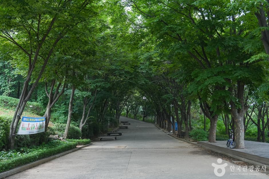 Gyeyangsan Mountain Trail (계양산둘레길)