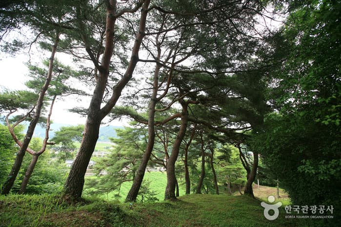 Gaepyeong Hanok Village (개평한옥마을)