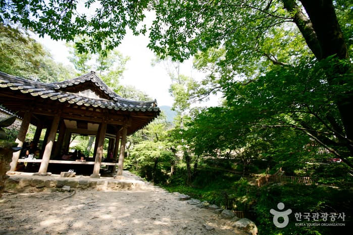 Soswaewon Garden (담양 소쇄원)
