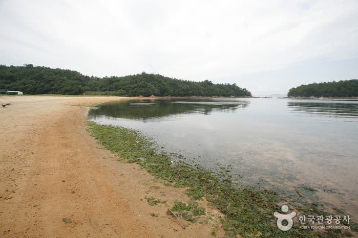 Hwangpo Beach (황포해수욕장)