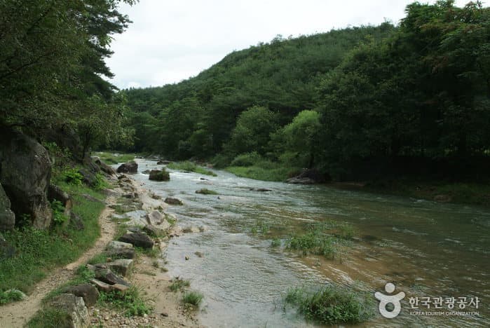 Seokcheongyegok Valley (석천계곡)