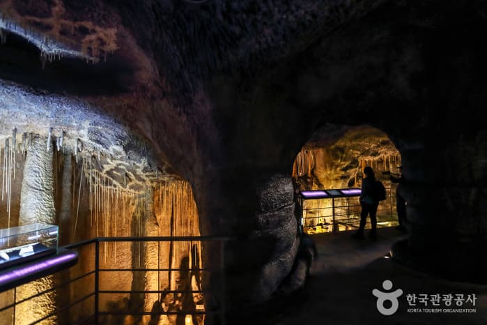 Jeju World Natural Heritage Center (제주 세계자연유산센터)