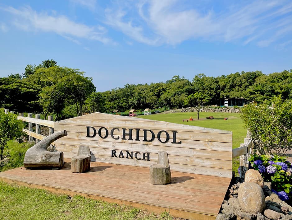 Dochidol Ranch (도치돌 알파카목장)