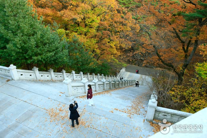 Palgongsan National Park (Donghwasa Temple District) (팔공산국립공원(동화사지구))