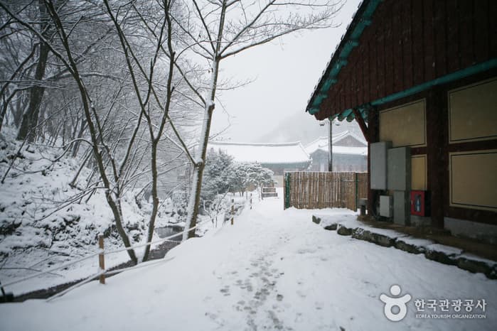 Daeheungsa Temple [UNESCO World Heritage] (대흥사[유네스코 세계문화유산])