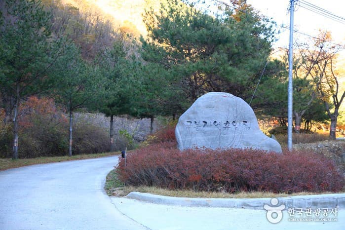 Geumbong Recreational Forest (금봉자연휴양림)