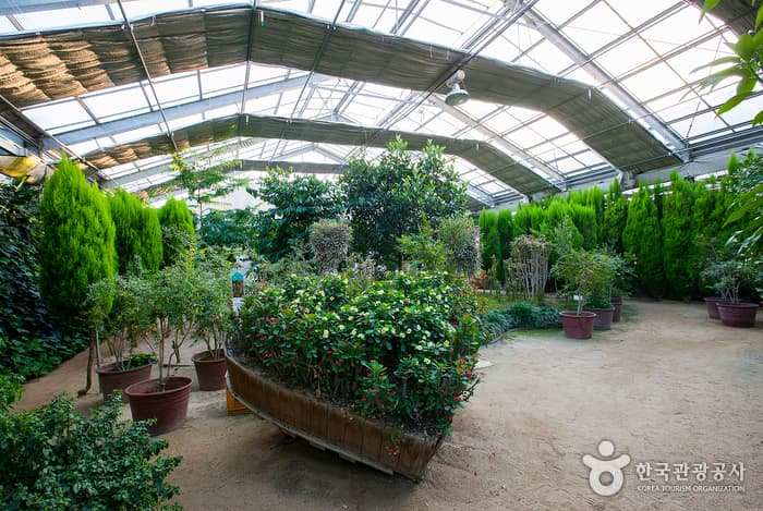 World Flower Botanical Garden (세계꽃식물원)
