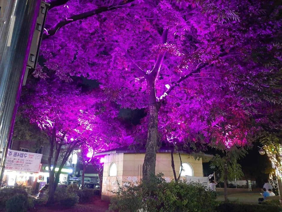 Namdong Street of Lights (남동 빛의 거리)