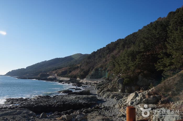 Igidae Cliff [National Geopark] (이기대 (부산 국가지질공원))