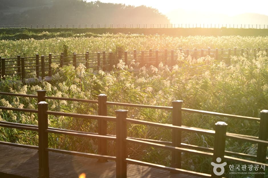 Yeosu Gasari Ecology Park (여수 가사리 생태공원)