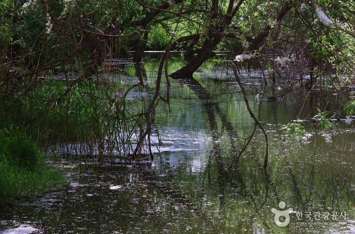 Yeouido Saetgang Ecological Park (여의도샛강생태공원)