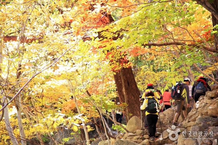 Seoraksan National Park (Outer Seorak) (설악산 국립공원 (외설악))