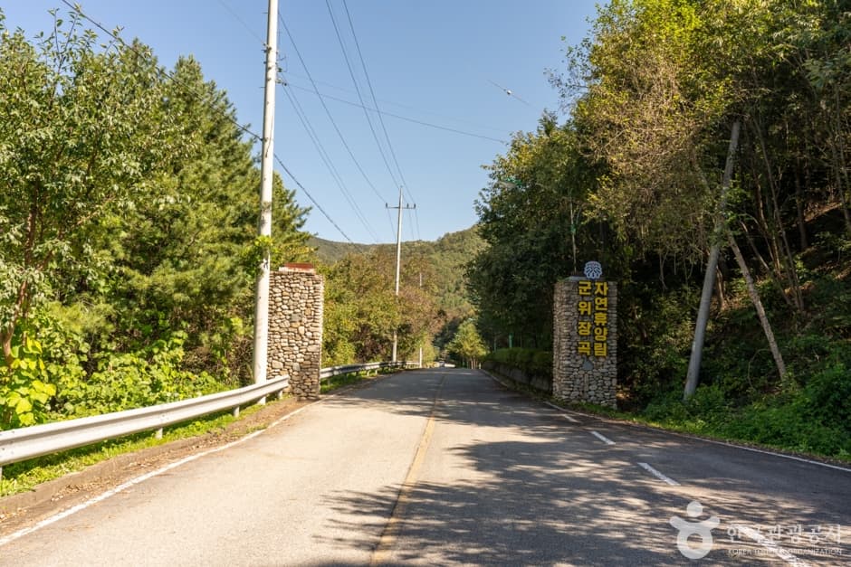 Gunwi Janggok Recreational Forest (군위 장곡자연휴양림)
