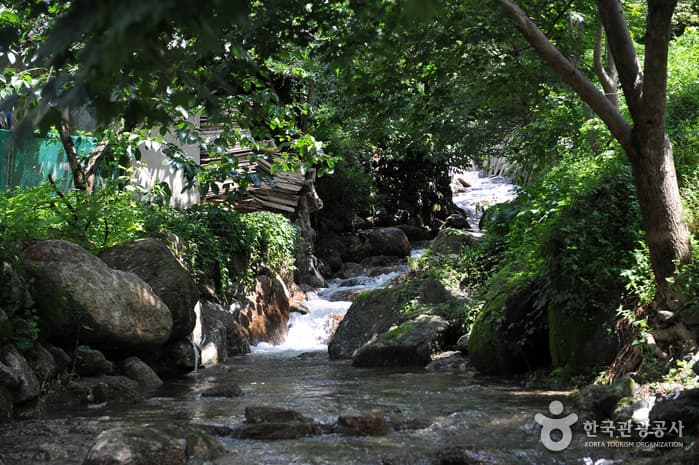 Baegunsan Eochigyegok Valley (백운산 어치계곡)