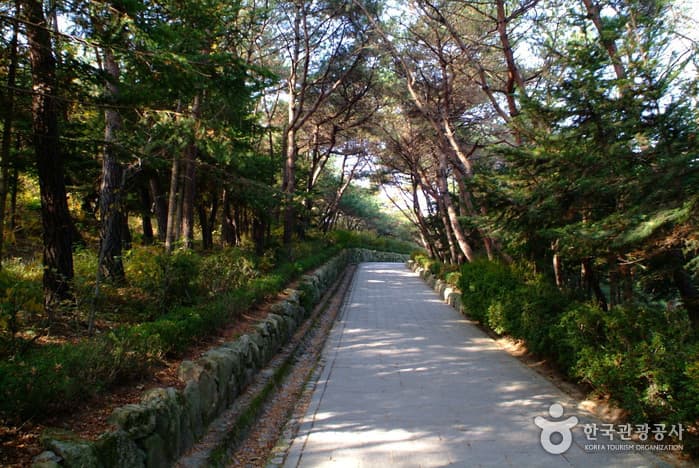 Gyeongju Tomb of Kim Yu-sin (경주 김유신묘)