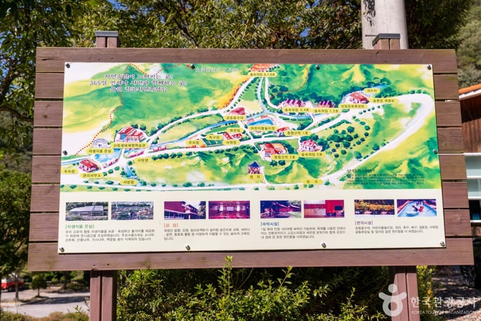 Gunwi Janggok Recreational Forest (군위 장곡자연휴양림)