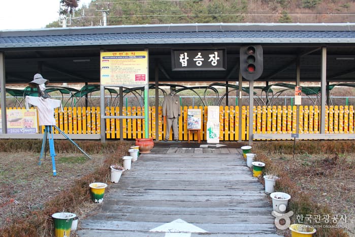 Jeonju Hanok Railbike (전주한옥레일바이크)