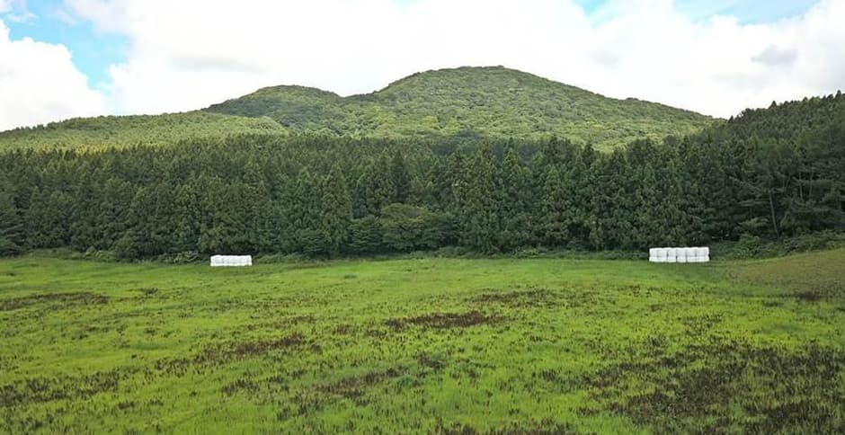 Jokeunnokkome Oreum Volcanic Cone (족은노꼬메오름)